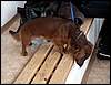 110416_vinor085.jpg