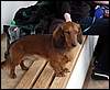 110416_vinor086.jpg